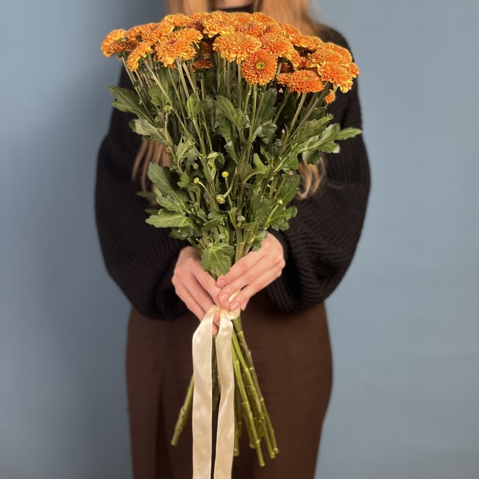 Кустовая хризантема Дориа Оранж