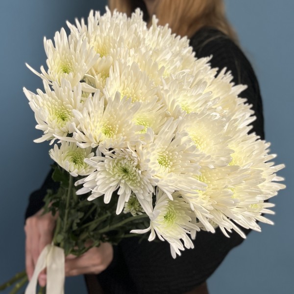 Кустовая игольчатая хризантема Делиан (Delianne)