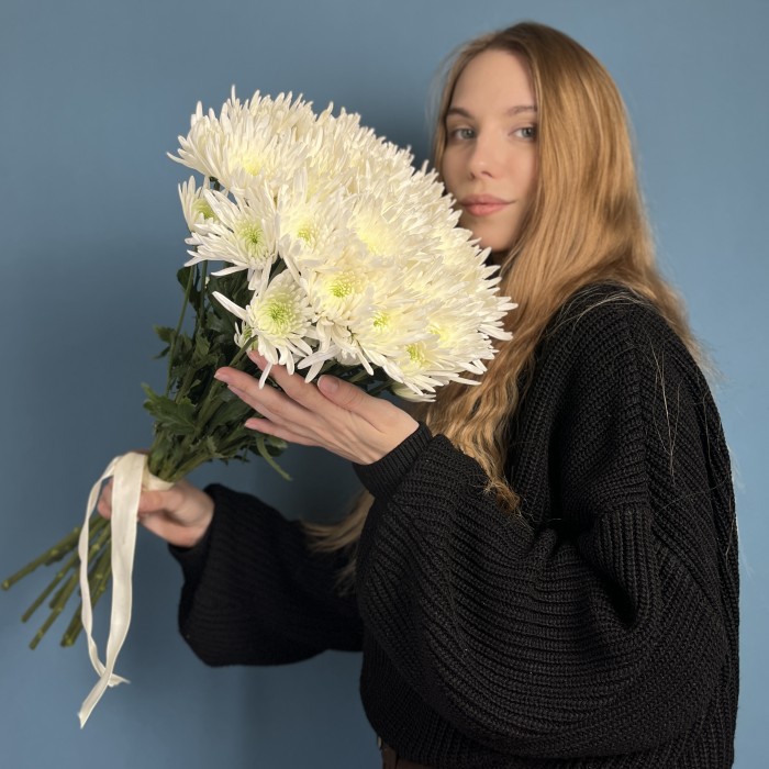 Кустовая игольчатая хризантема Делиан (Delianne)