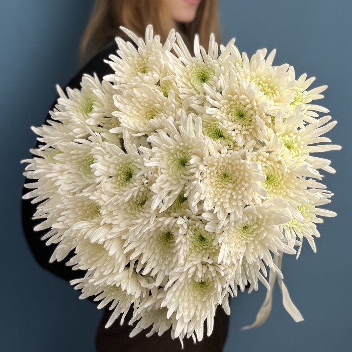 Кустовая игольчатая хризантема Делиан (Delianne)