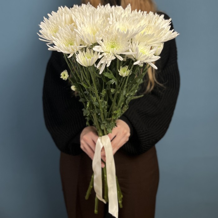 Кустовая игольчатая хризантема Делиан (Delianne)