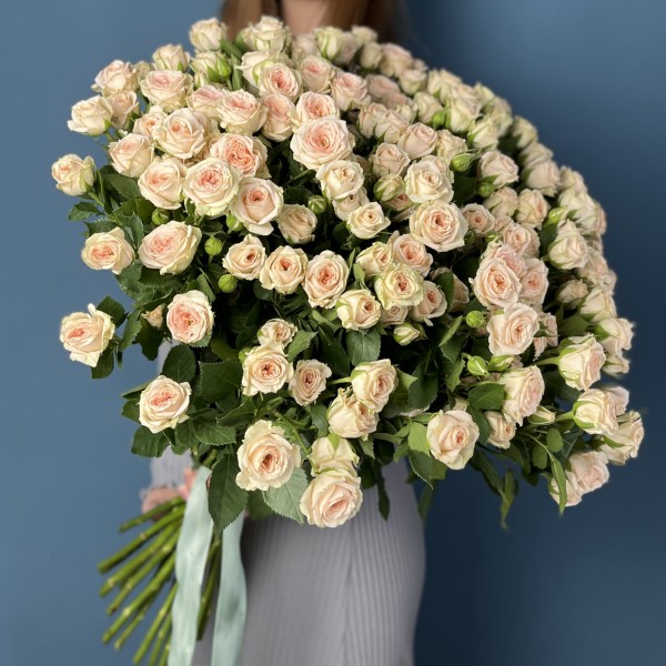 Кустовая персиковая роза Свит Сара 60 см