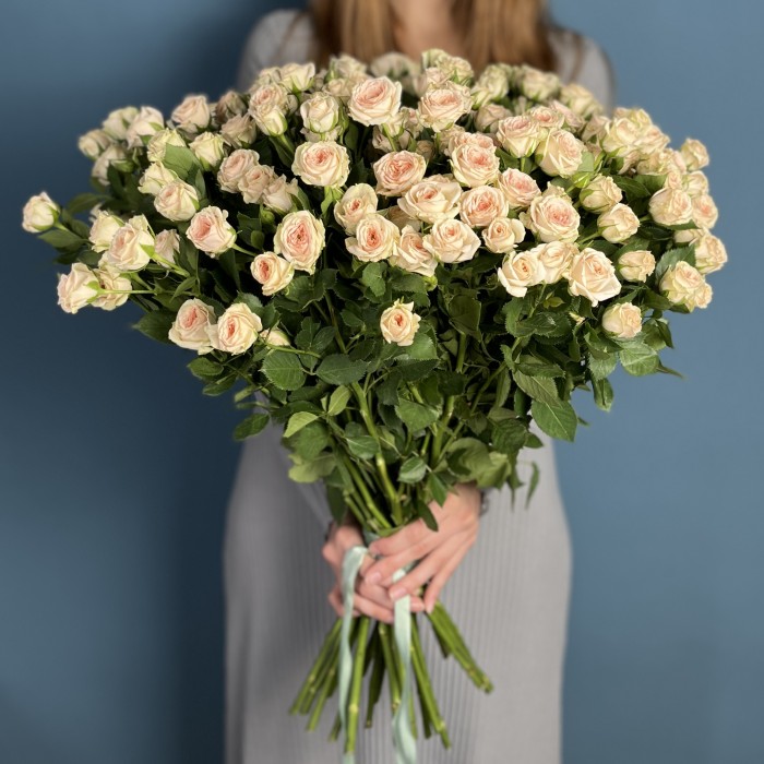 Кустовая персиковая роза Свит Сара 60 см