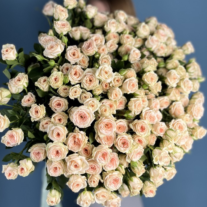 Кустовая персиковая роза Свит Сара 60 см