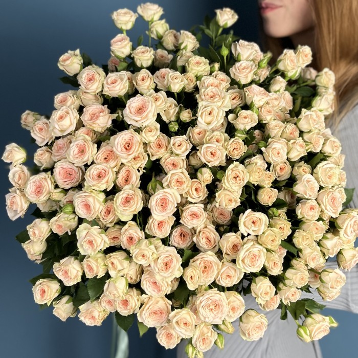 Кустовая персиковая роза Свит Сара 60 см