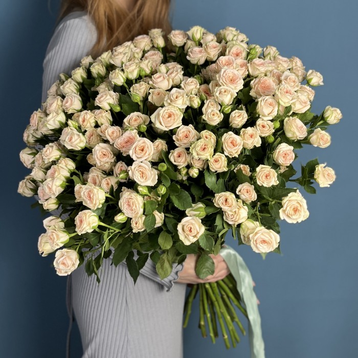 Кустовая персиковая роза Свит Сара 60 см