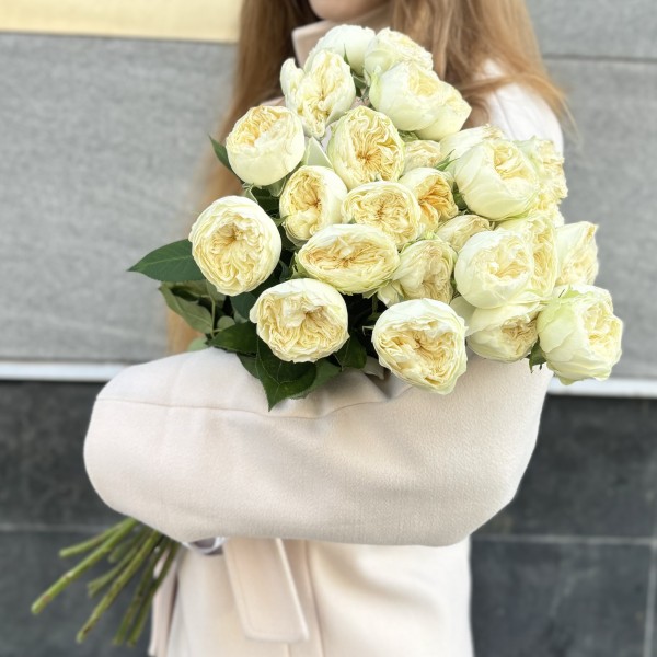 Кустовая пионовидная белая роза Лавли Херпер