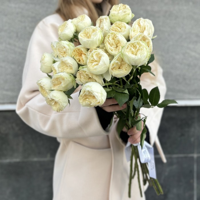 Кустовая пионовидная белая роза Лавли Херпер