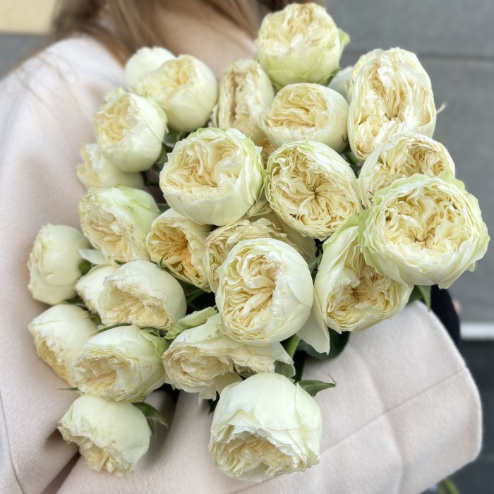 Кустовая пионовидная белая роза Лавли Херпер