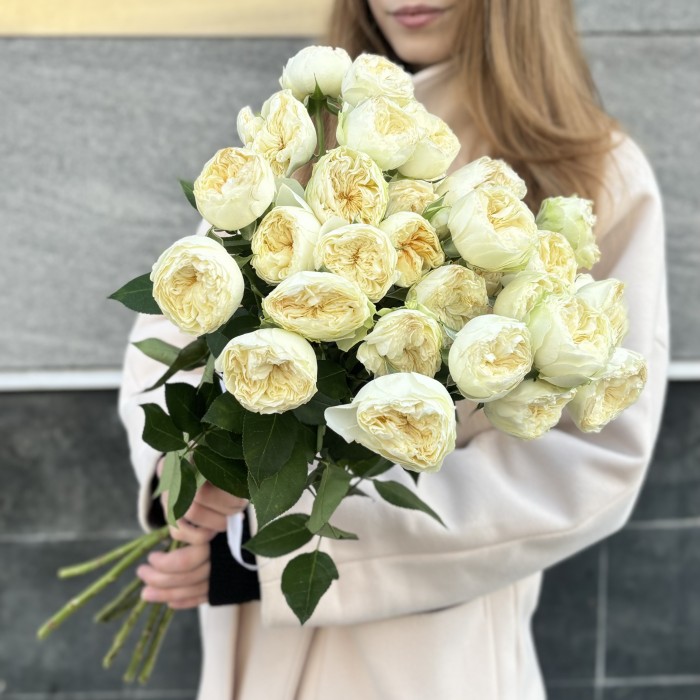 Кустовая пионовидная белая роза Лавли Херпер