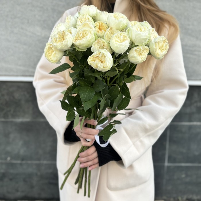 Кустовая пионовидная белая роза Лавли Херпер