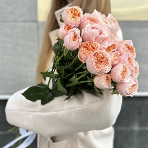 Кустовая пионовидная коралловая роза Кейджерс коралл