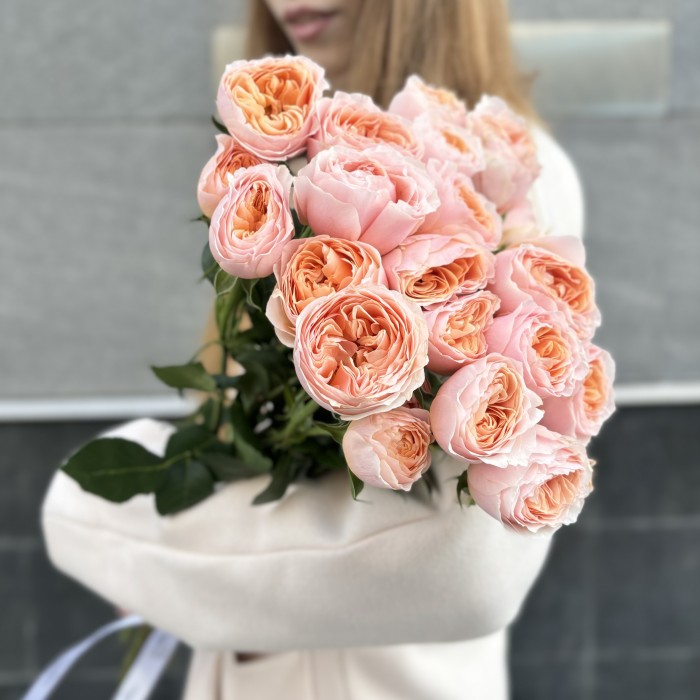 Кустовая пионовидная коралловая роза Кейджерс коралл