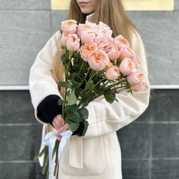 Кустовая пионовидная коралловая роза Кейджерс коралл