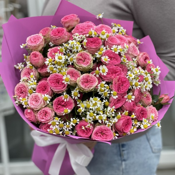 Кустовая пионовидная роза Дионн с ромашкой