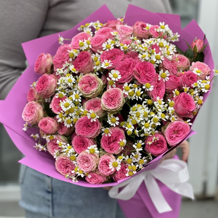 Кустовая пионовидная роза Дионн с ромашкой