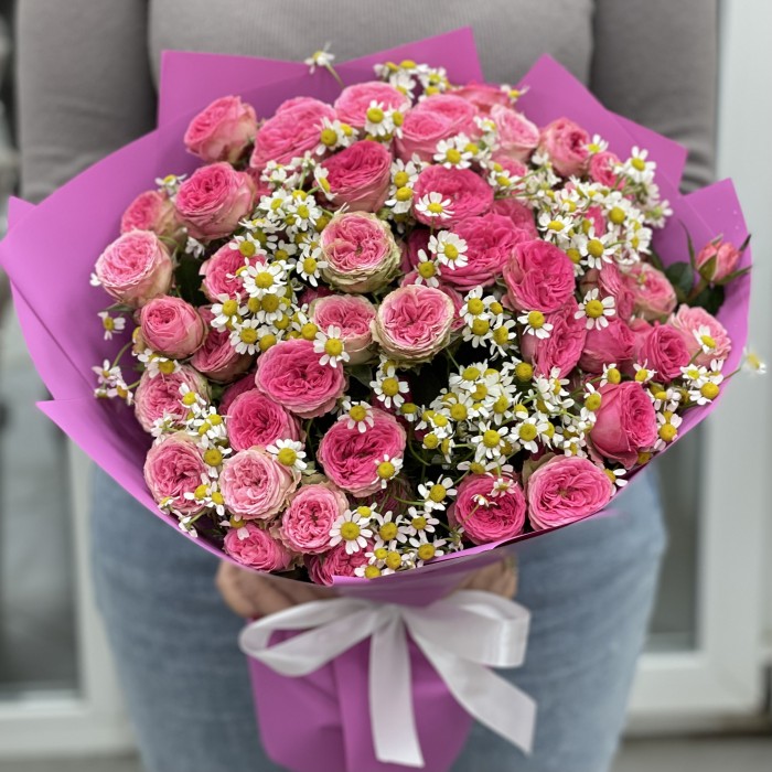 Кустовая пионовидная роза Дионн с ромашкой