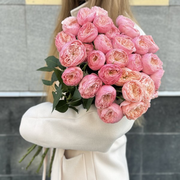 Кустовая пионовидная розовая роза Херпер