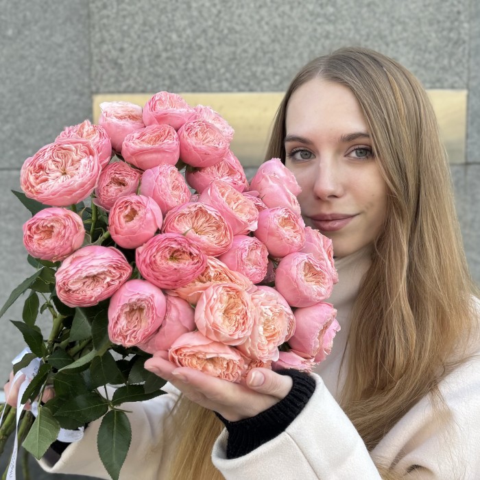 Кустовая пионовидная розовая роза Херпер