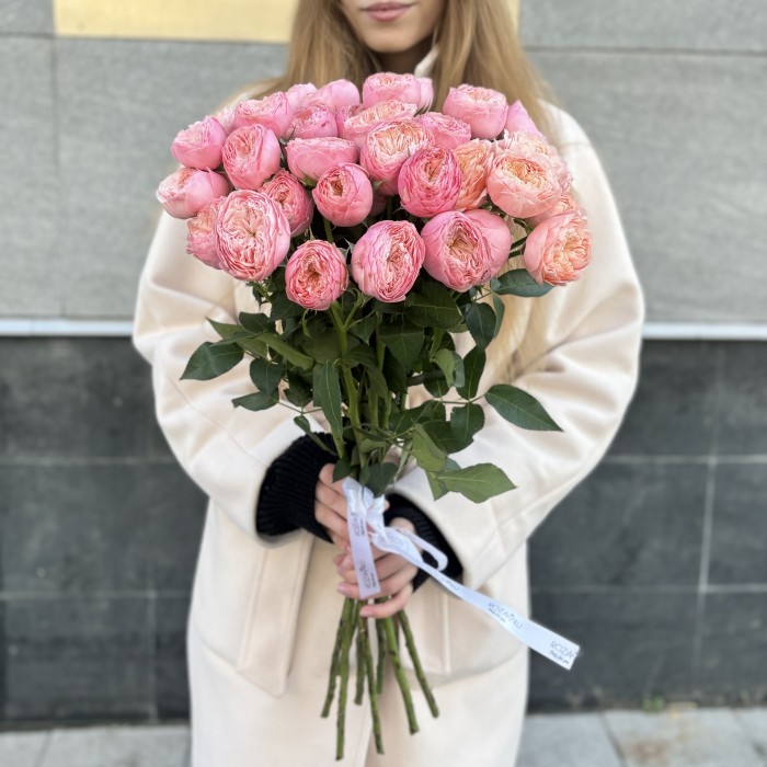 Кустовая пионовидная розовая роза Херпер