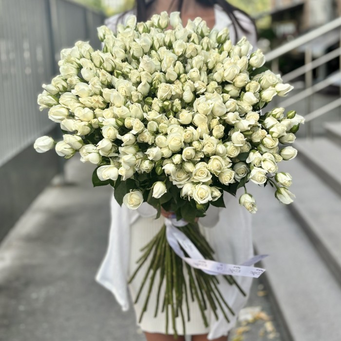 Кустовая белая роза Сноу Баблс 80 см