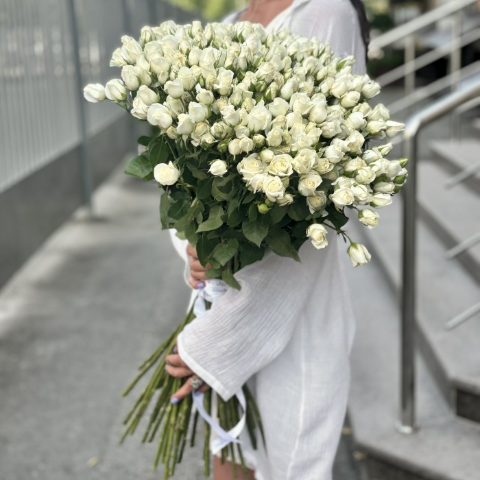 Кустовая белая роза Сноу Баблс 80 см