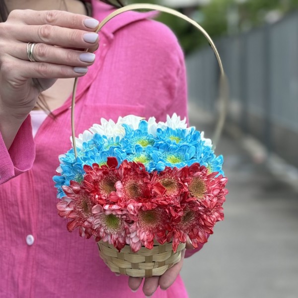 Кустовая хризантема Балтика в корзине Триколор