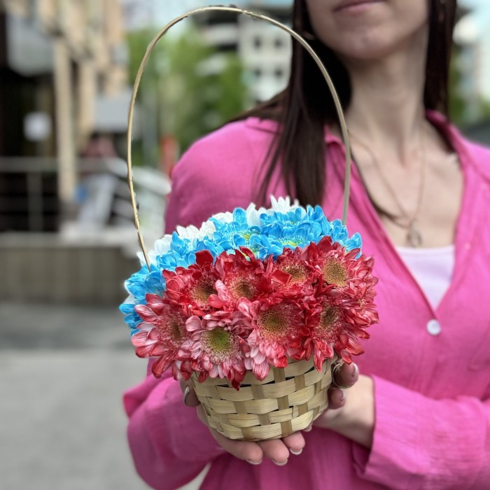 Кустовая хризантема Балтика в корзине Триколор