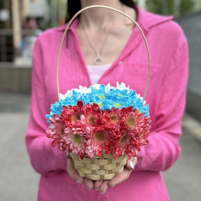 Кустовая хризантема Балтика в корзине Триколор