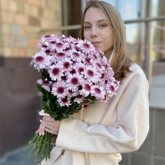 Кустовая хризантема Стреза