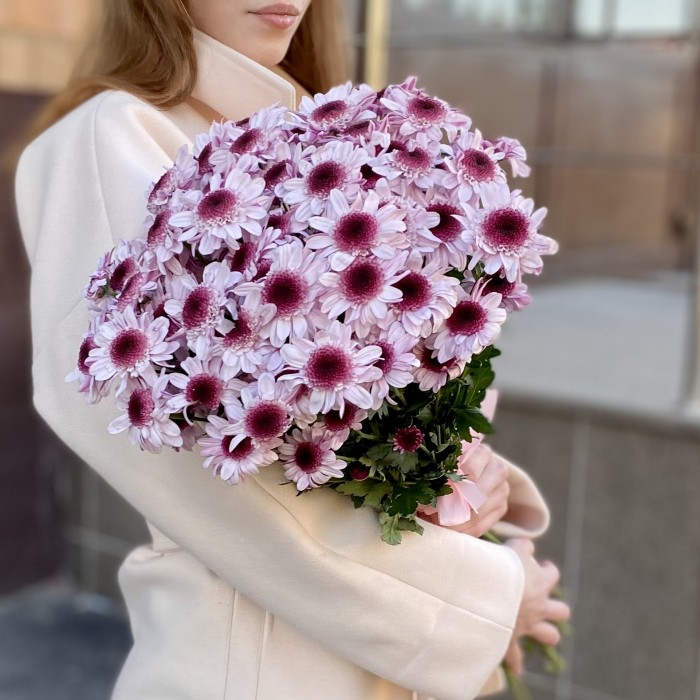 Кустовая хризантема Стреза