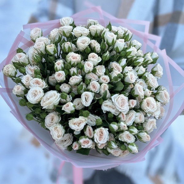 25 кустовых кремовых роз Рослин 40см