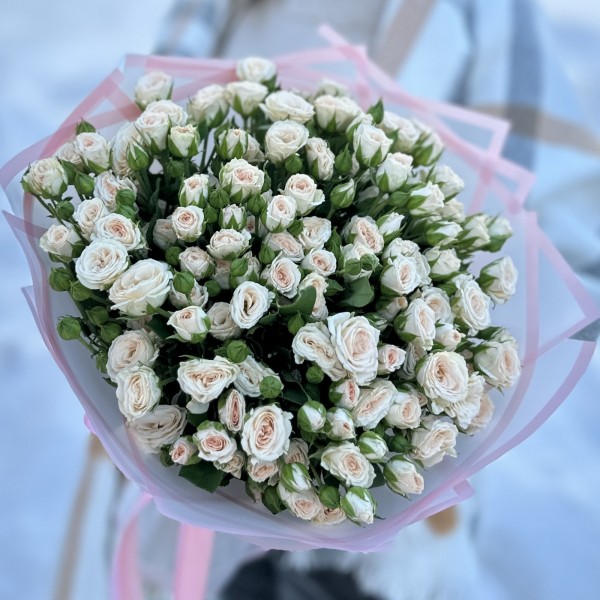 25 кустовых кремовых роз Рослин 50 см