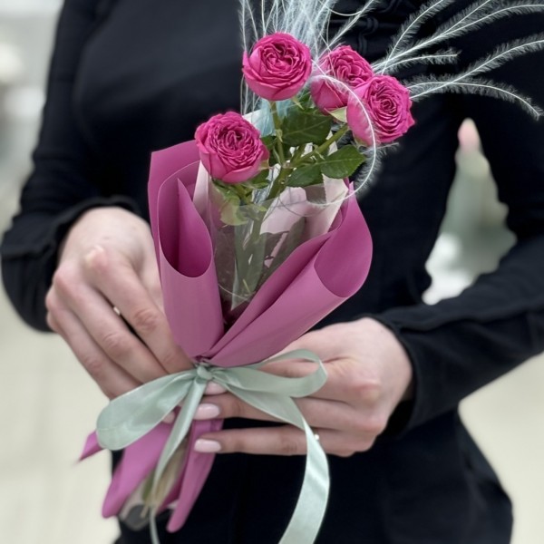 Кустовая малиновая роза Классик Сенсейшен в упаковке