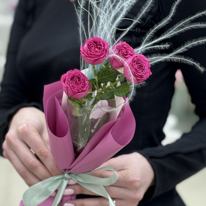 Кустовая малиновая роза Классик Сенсейшен в упаковке