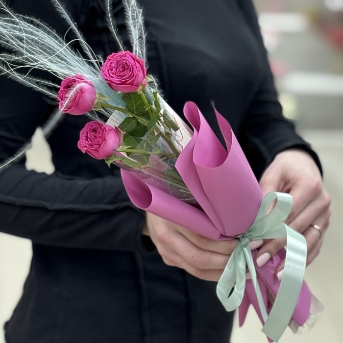 Кустовая малиновая роза Классик Сенсейшен в упаковке