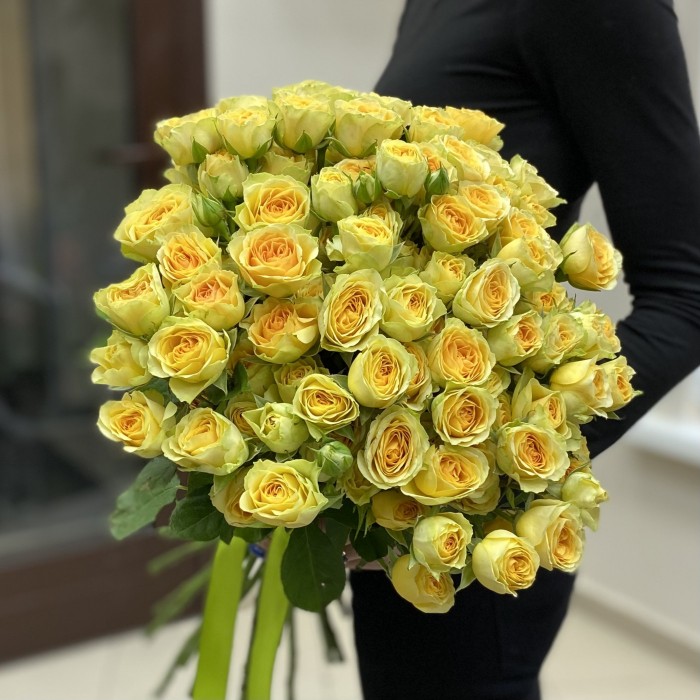 Кустовая пионовидная роза Бандолера