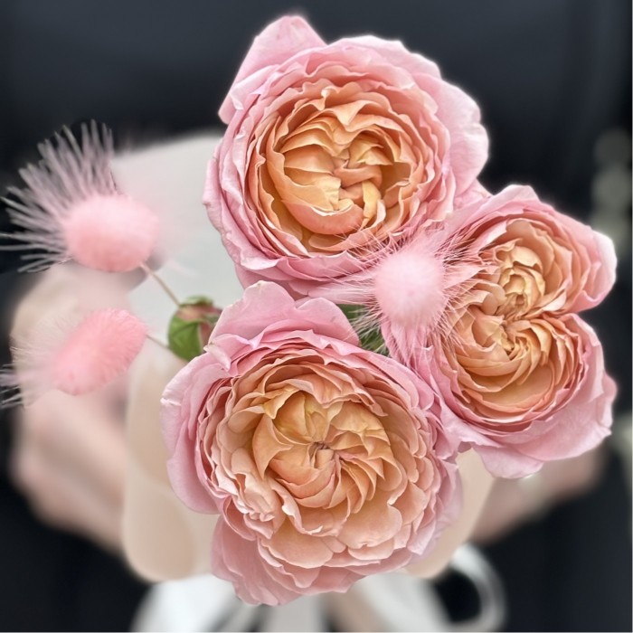 Кустовая пионовидная роза Джульетта в упаковке