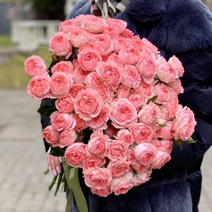 Кустовая пионовидная роза Фемке