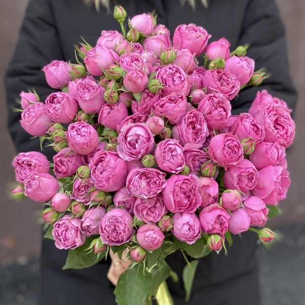 Кустовая пионовидная роза Мисти Баблс