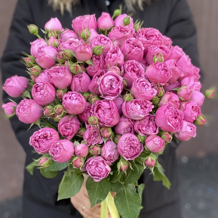 Кустовая пионовидная роза Мисти Баблс