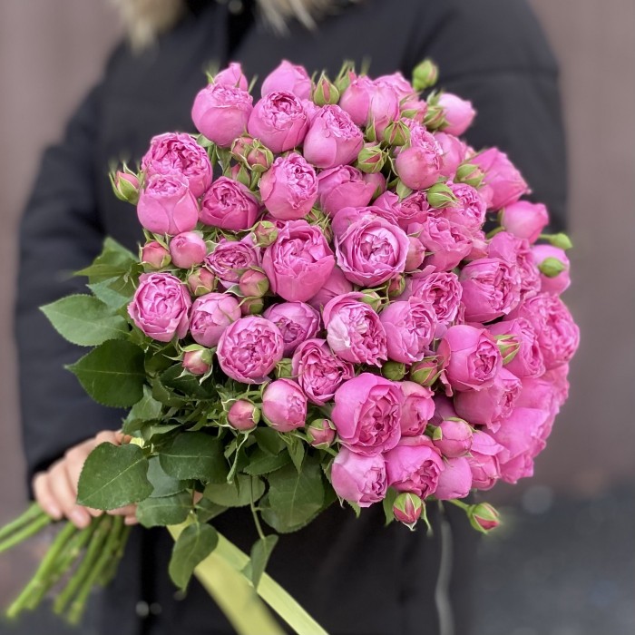 Кустовая пионовидная роза Мисти Баблс