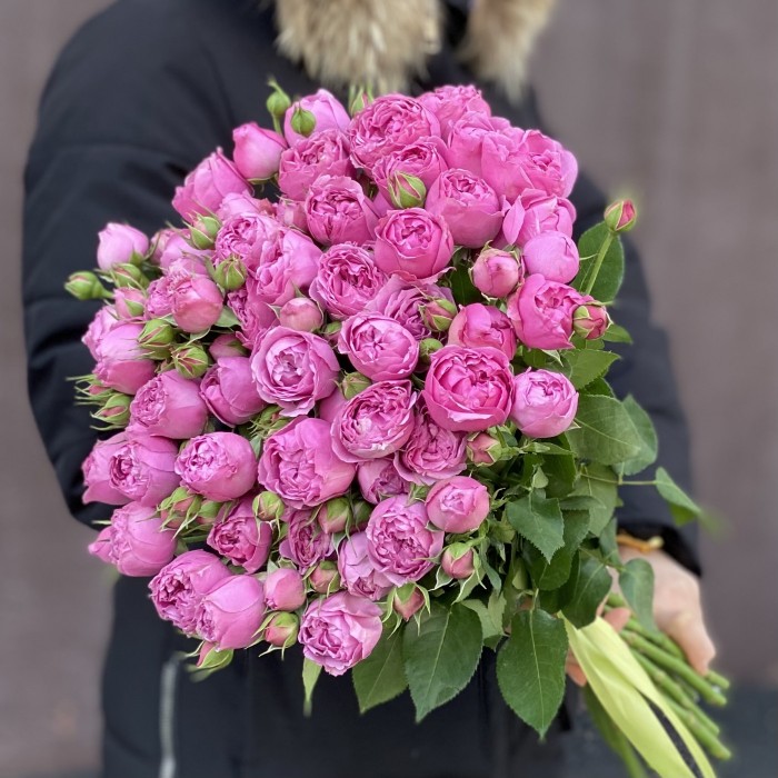 Кустовая пионовидная роза Мисти Баблс