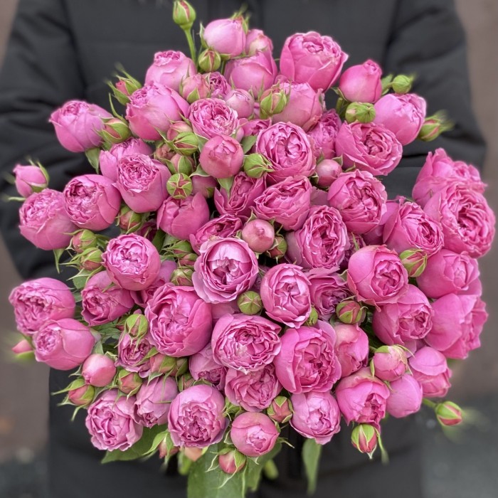 Кустовая пионовидная роза Мисти Баблс