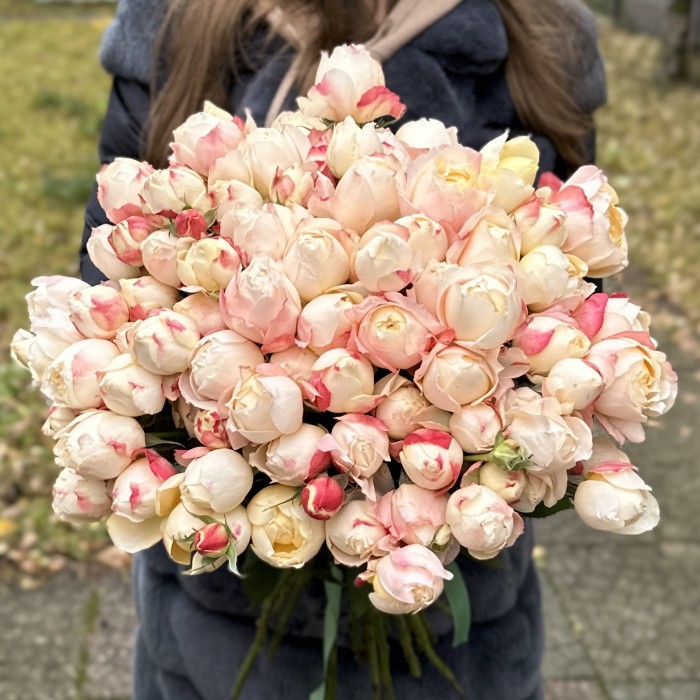 Кустовая пионовидная роза Принцесса Суки