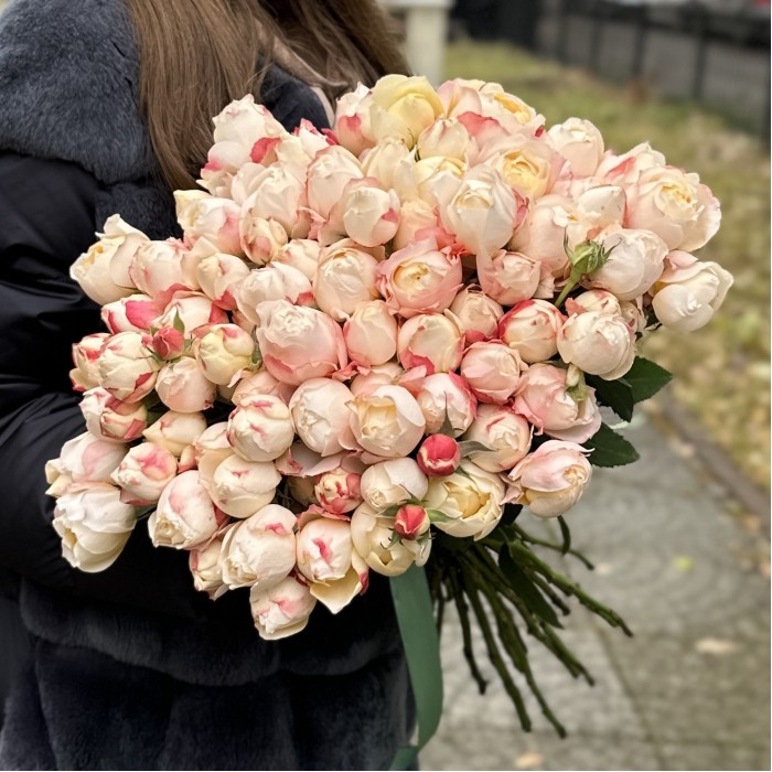 Кустовая пионовидная роза Принцесса Суки