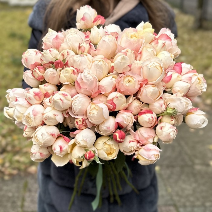 Кустовая пионовидная роза Принцесса Суки