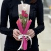 Кустовая роза Глория в упаковке