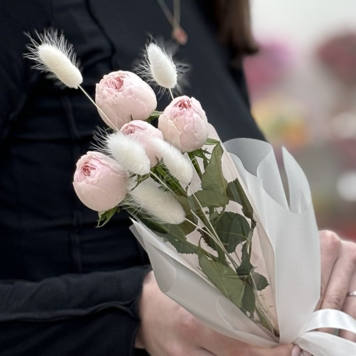 Кустовая розовая роза Мансфилд Парк в упаковке