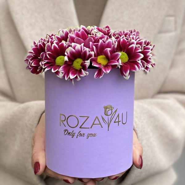 Кустовые хризантемы Хайдар Пинк в коробке